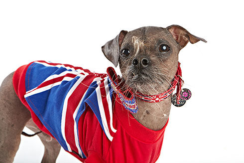 2012 winner: Mugly